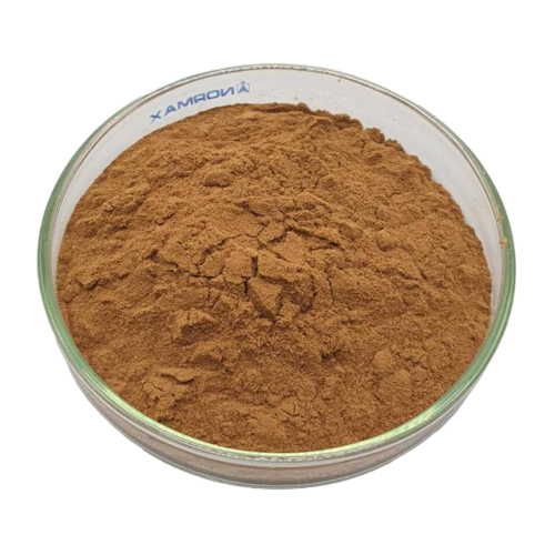 Phellinus Igniarius Mushroom Extract